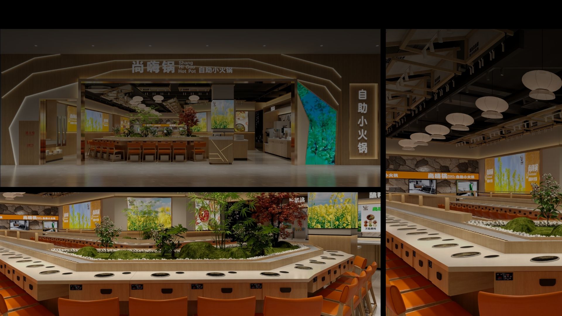 公司动态